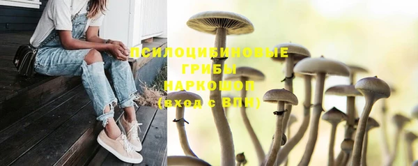 МДМА Киреевск