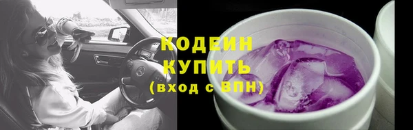 гидра Киренск