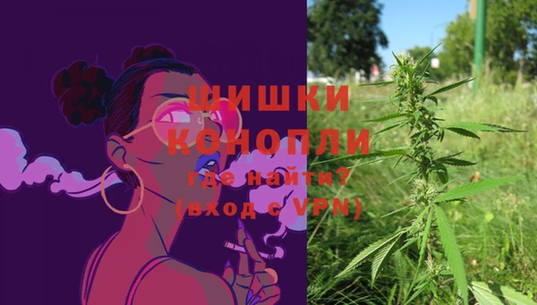 гидра Киренск