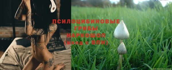 мет Кинешма